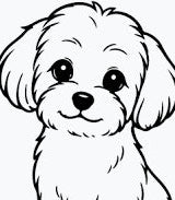 Il Maltese
